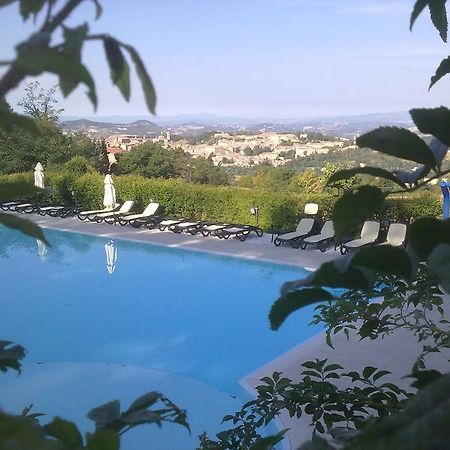 Camping Pineta Hotel Urbino Exterior foto